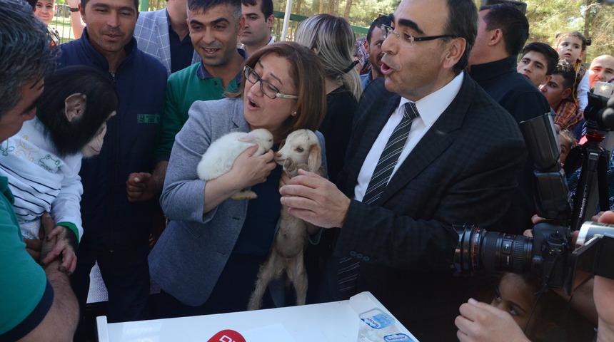 Fatma Şahin, şempanze Can'ın darbelerinden son anda kurtuldu