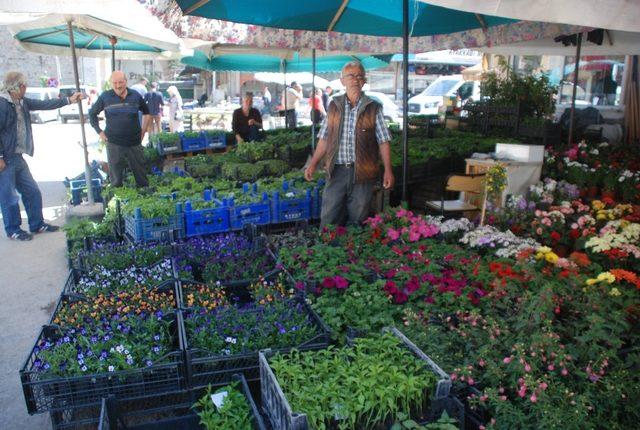 Sebze fideleri tezgahlardaki yerini aldı