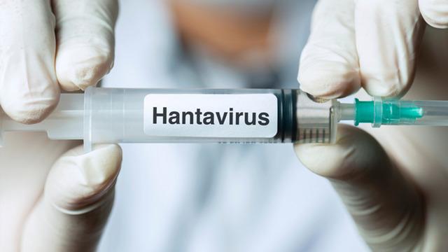 Ölümcül hantavirüsü salgını büyüyor! Bir kadın hastaneye kaldırıldı