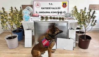 Kayseri&rsquo;de uyuşturucu operasyonu