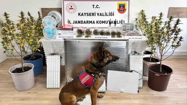 Kayseri’de uyuşturucu operasyonu