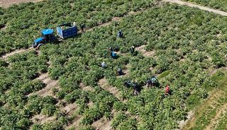 Mesaisi &ouml;ğlene kadar s&uuml;r&uuml;yor: Ona d&ouml;nmeye başladılar 'Para ediyor'