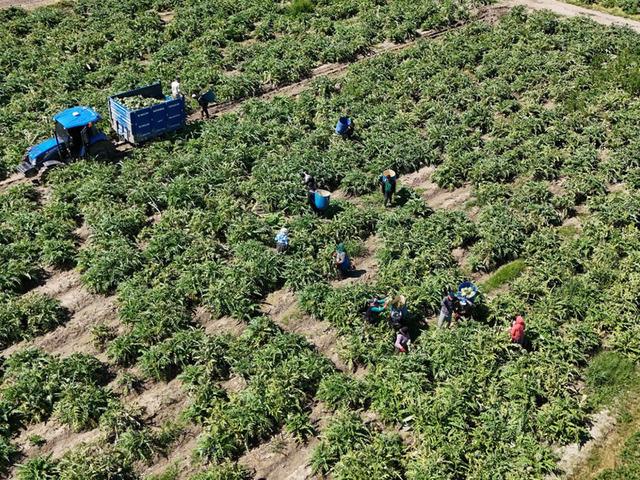 Mesaisi &ouml;ğlene kadar s&uuml;r&uuml;yor: Ona d&ouml;nmeye başladılar 'Para ediyor'