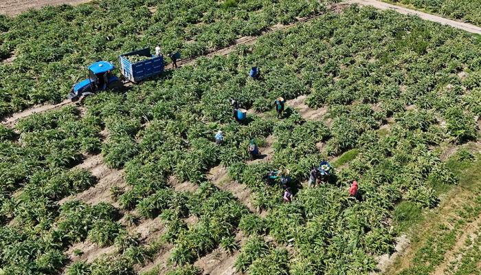 Mesaisi &ouml;ğlene kadar s&uuml;r&uuml;yor: Ona d&ouml;nmeye başladılar 'Para ediyor'