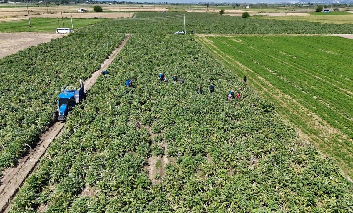 Mesaisi &ouml;ğlene kadar s&uuml;r&uuml;yor: Ona d&ouml;nmeye başladılar  Para ediyor  3