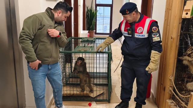 Yozgat'ta 'Hint Şebeği' bulundu! Gören hayrete düşüyor