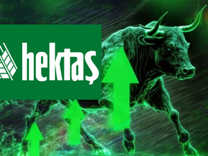 Hektaş&rsquo;ta (HEKTS) tavan serisi s&uuml;r&uuml;yor