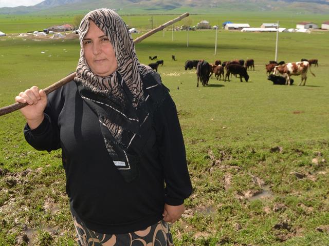 Devlet desteği ile besiciliğe başladı! "Hayvan sayısını iki katına &ccedil;ıkardım" 