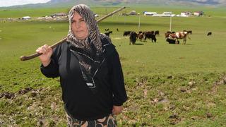 Devlet desteği ile besiciliğe başladı! Hayvan sayısını iki katına çıkardım 