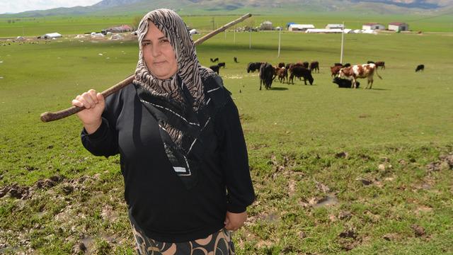 Devlet desteği ile besiciliğe başladı! Hayvan sayısını iki katına çıkardım 