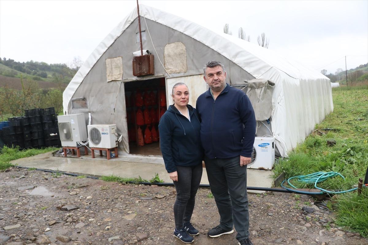 2,5 ay eğitim aldı mesleğini bırakıp bu işe başladı! 2
