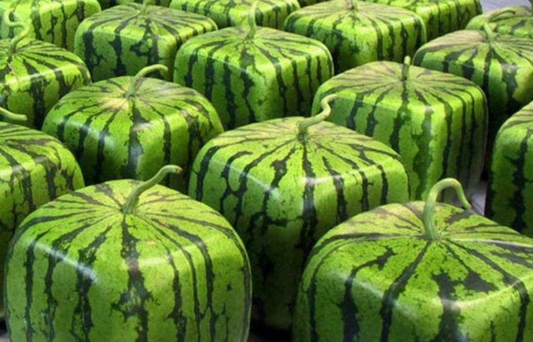 İşte d&uuml;nyanın en pahalı 8 meyvesi