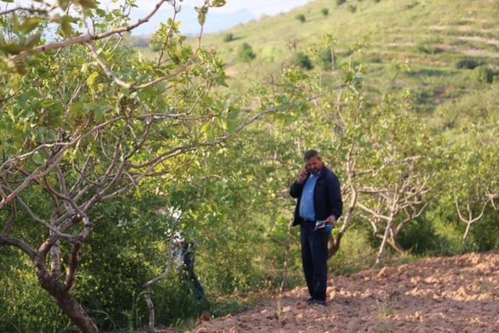 Fıstık üreticileri 6 bin lira maaşla çalıştıracak işçi bulamıyor G2