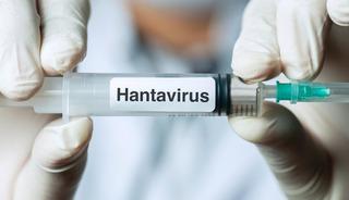 Hantavir&uuml;se karşı aşı &ccedil;alışması başlatıldı!