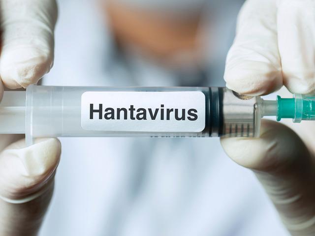 Hantavir&uuml;se karşı aşı &ccedil;alışması başlatıldı!