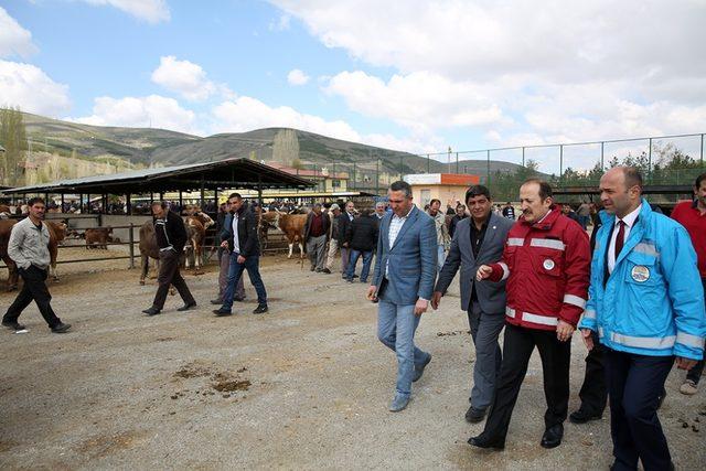 Vali Pehlivan canlı hayvan pazarında incelemelerde bulundu