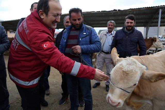 Vali Pehlivan canlı hayvan pazarında incelemelerde bulundu