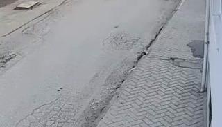 Bir anda koşup havlayan k&ouml;pek k&uuml;&ccedil;&uuml;k &ccedil;ocuğu korkuttu