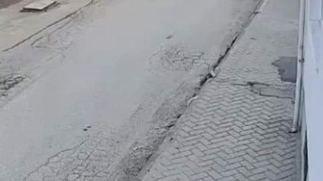 Bir anda koşup havlayan köpek küçük çocuğu korkuttu
