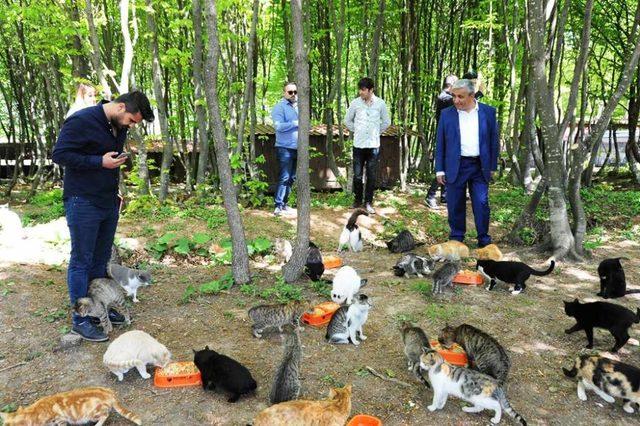 Kahramanmaraş’tan Samsun’a teknik gezi