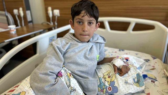Van’da bir hafta arayla 3’üncü köpek saldırısı: 11 yaşındaki çocuk yaralandı