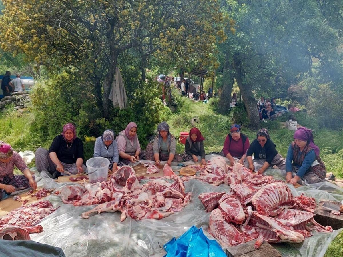 208 yıllık  Olcak Dede  geleneği: Dualar edilip kurbanlar kesildi 2