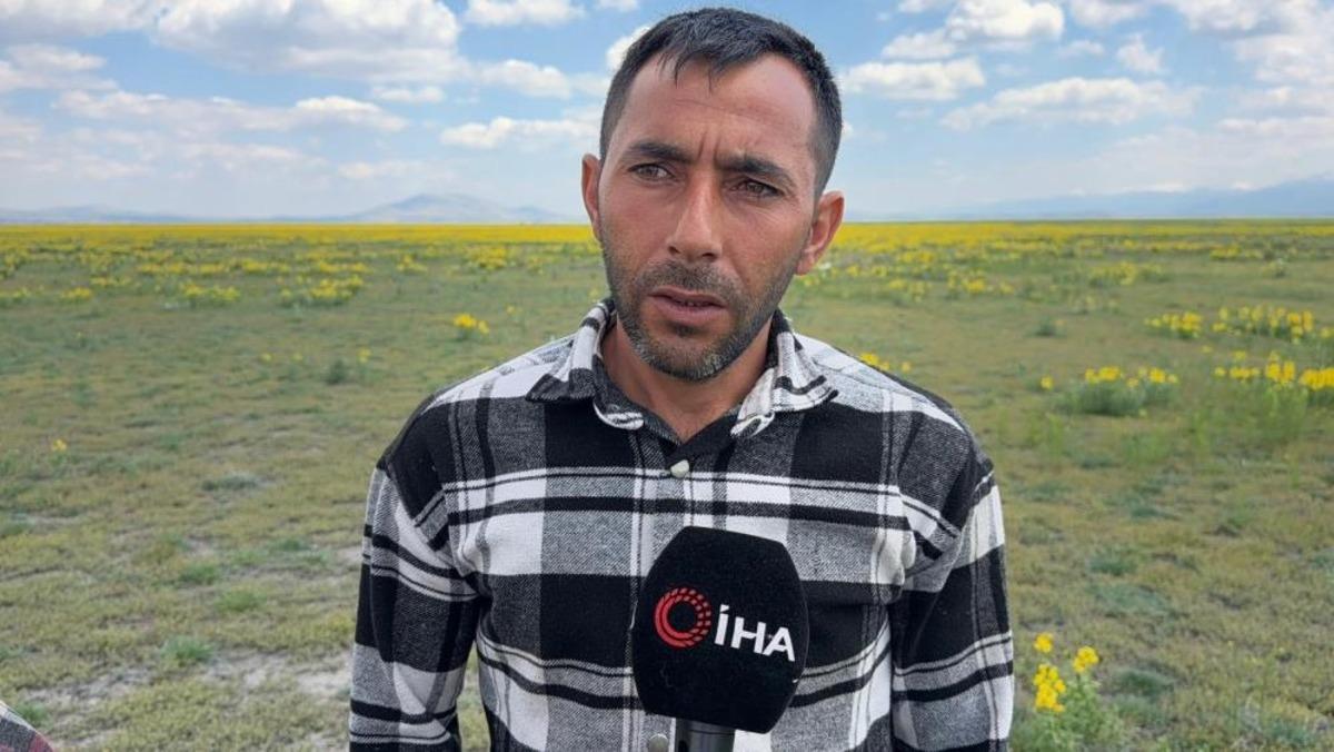 Bu &ccedil;i&ccedil;eği koparmanin cezası yaklaşık 700 bin TL 2