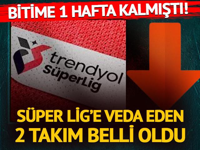 S&uuml;per Lig'e veda eden iki ekip belli oldu! 