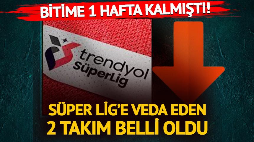 S&uuml;per Lig'e veda eden iki ekip belli oldu! 