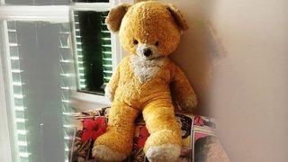 Doğa Rutkay, Mişa'nın hikayesini anlattı