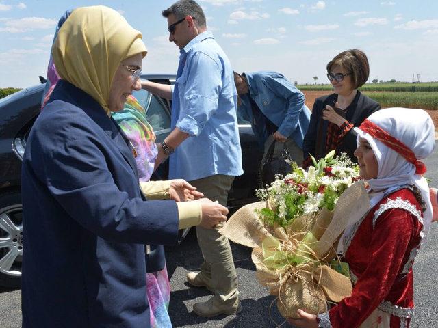 Emine Erdoğan, Harran Ovası'na biber fidesi dikti