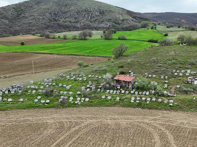 'Fiyatı 1000-1500 TL olacak' Beklenti arttı