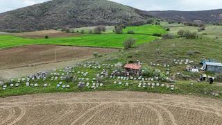 'Fiyatı 1000-1500 TL olacak' Beklenti arttı