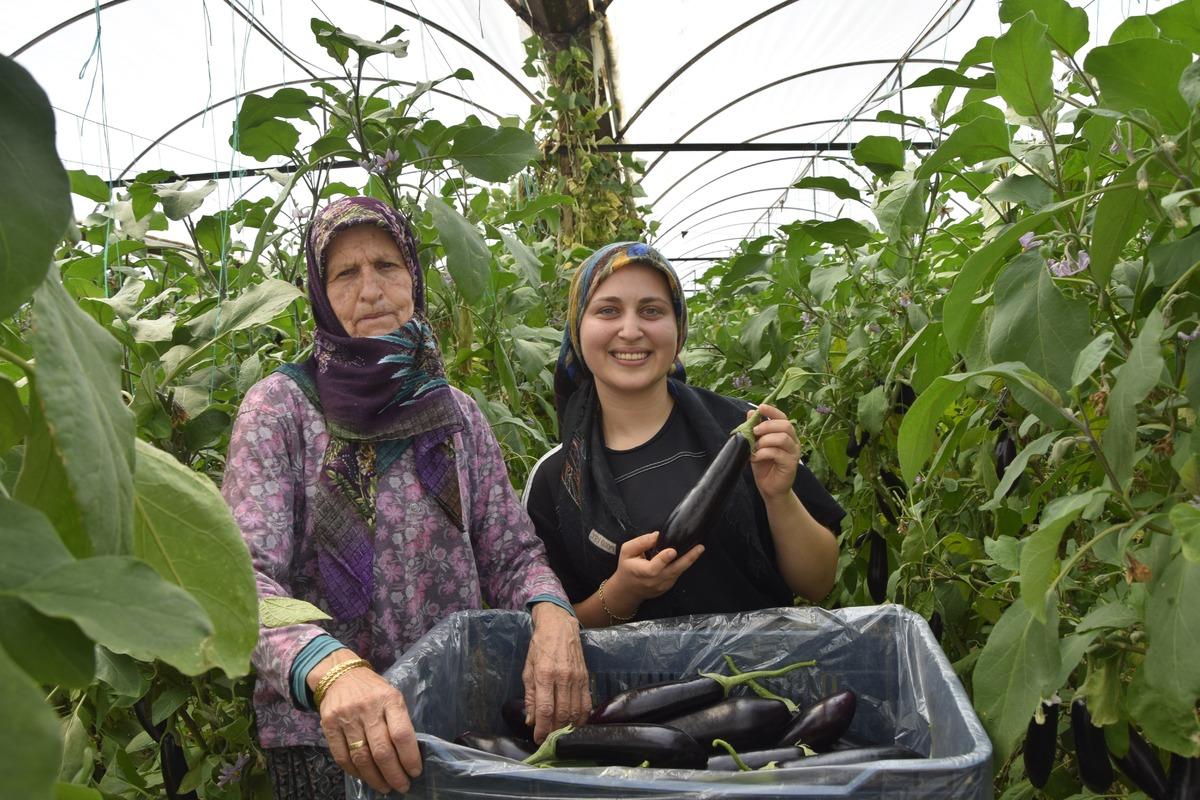 Atama beklerken boş durmak yerine o işi yapıyor: Hem gelir hem yaşam bi&ccedil;imi 2