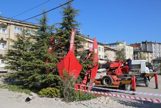 Sivas Belediyesi ağaçları naklediyor