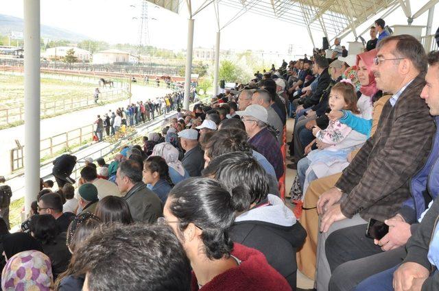 Kütahya’da ’Rahvan at yarışları’ ilgi gördü