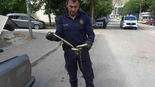 Otomobilin i&ccedil;ine giren 1,5 metrelik yılanı itfaiye erleri yakaladı 5