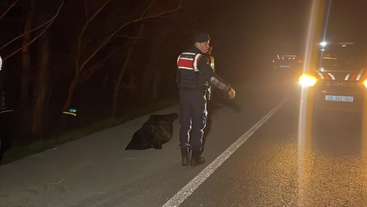 Sivas ta yoldan çıkan araç devrildi: 1 ölü, 4 yaralı 2