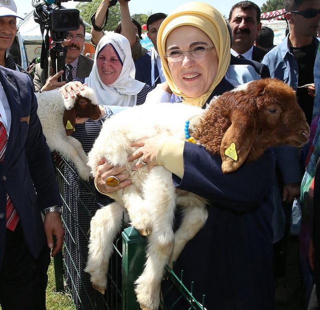 Emine Erdoğan, Harran Ovası'na biber fidesi dikti (2)