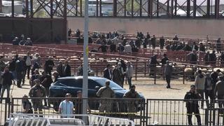 Van'da hayvan pazarında feci kavga! 1 ölü 13 yaralı