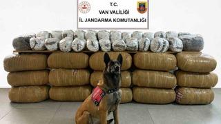Van’da yarım tona yakın uyuşturucu ele geçirildi
