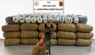 Van&rsquo;da yarım tona yakın uyuşturucu ele ge&ccedil;irildi