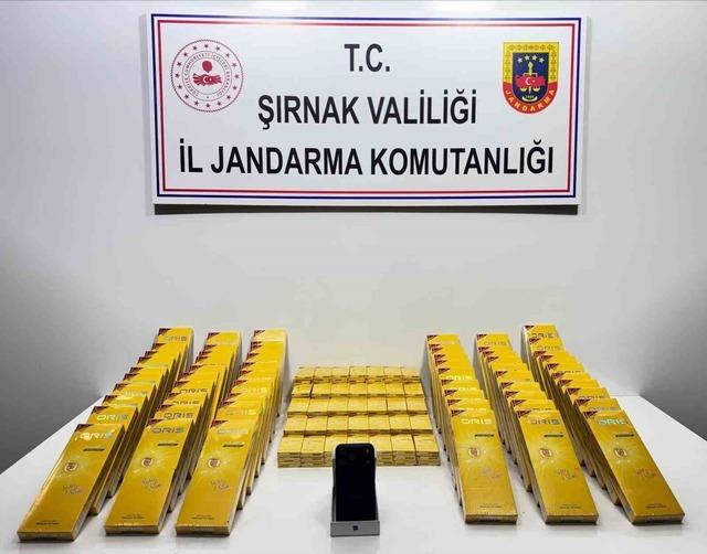 Şırnak&rsquo;ta jandarmadan asayiş, ka&ccedil;ak&ccedil;ılık ve narkotik operasyonu 1