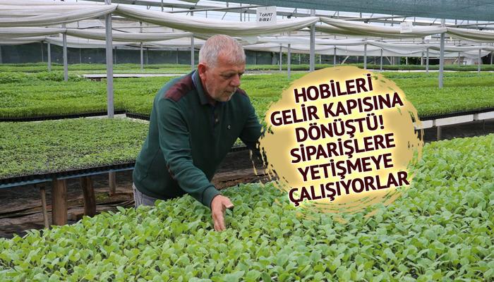 Emekliler hobi diye başladı, geldikleri nokta şaşırttı