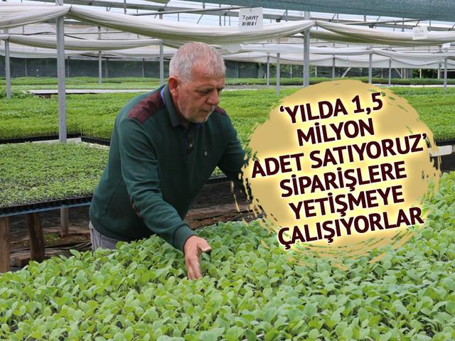 Emekliler hobi diye başladı, geldikleri nokta şaşırttı