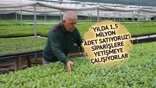 Emekliler hobi diye başladı, gelinen noktaya kendileri de şaşırdı