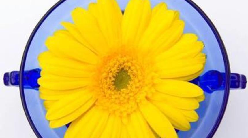 Kasım 2014 aylık bur&ccedil; yorumları