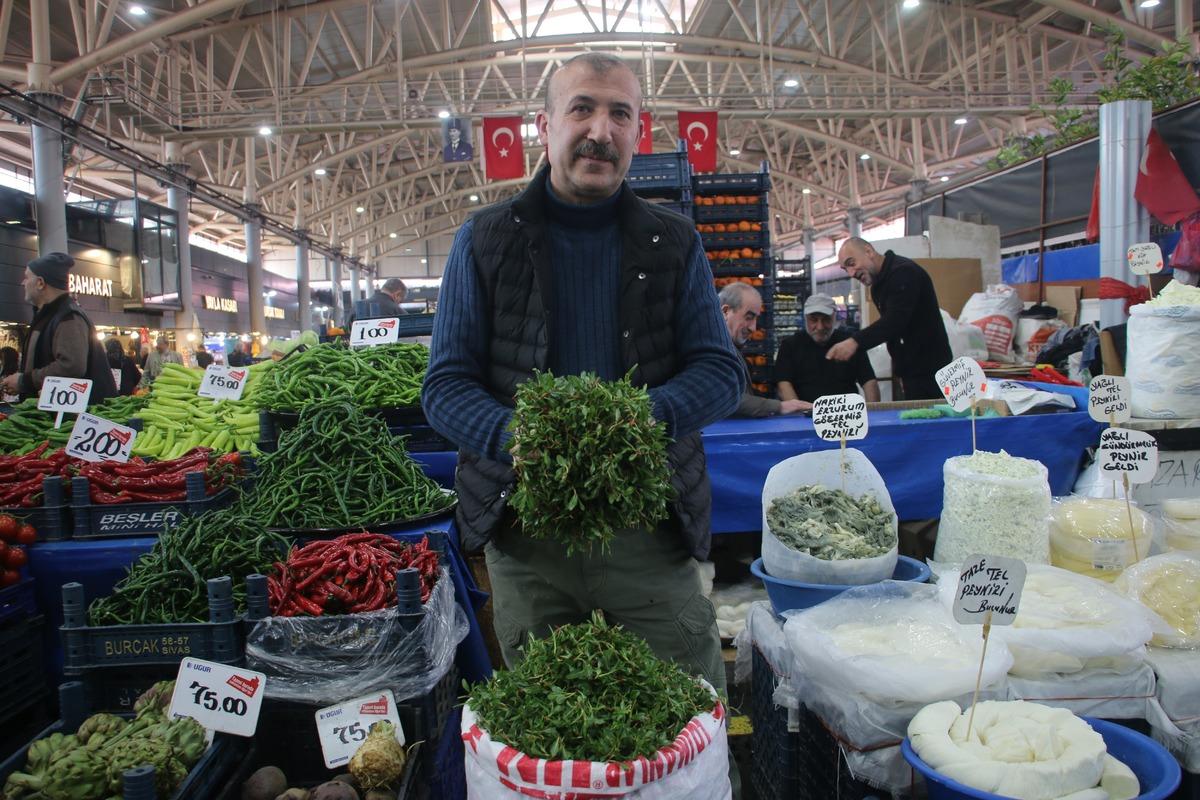 Bağırsak dostu tezgahlarda: Jiletle tek tek toplanıyor! Kilosu 200 TL 2