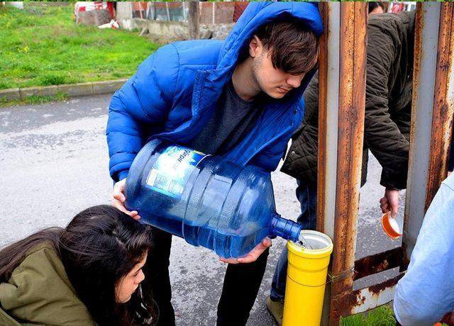 Üniversiteliler sokak hayvanları için harekete geçti