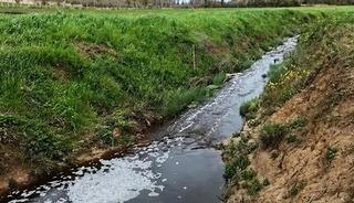 Sinop&rsquo;ta &ccedil;evreyi kirleten tesise 1.6 milyon TL ceza